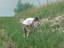 central plains milk snake habitat