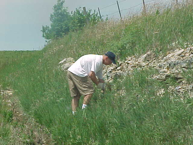 central plains milk snake habitat