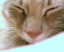 my baby's pretty face