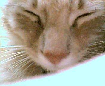my baby's pretty face