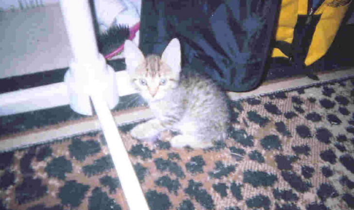 bobbie
