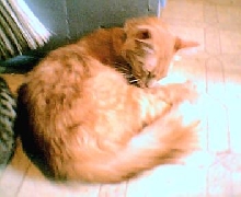 symbah sleepin :)