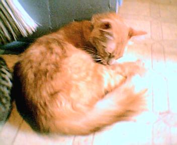 symbah sleepin :)