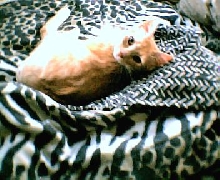 Symbah relaxin! :)
