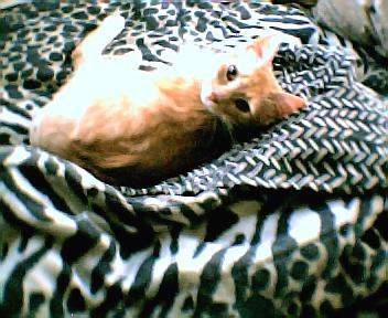 Symbah relaxin! :)