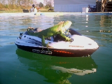 i luv jet skis