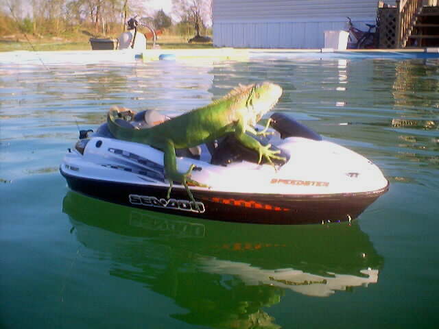 i luv jet skis