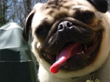Mae extreme close up!
