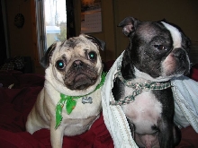 Mugsy and Mae