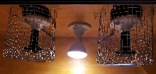 Bulb Guards
