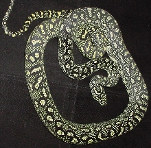 75% Diamond Python