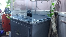Drain1