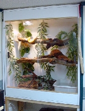 ATB Cage