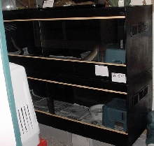 Cage-Stack1