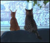 Friends