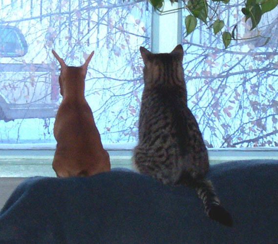 Friends