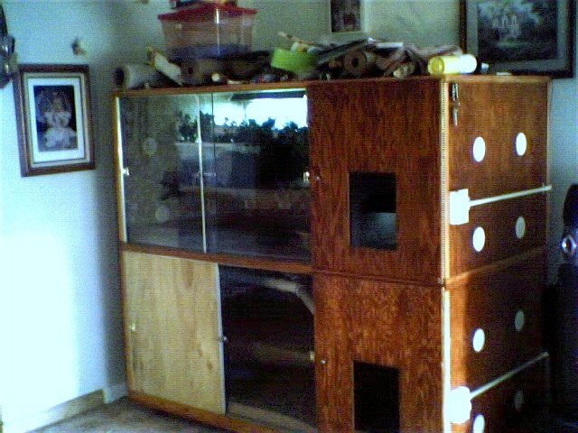 my cages