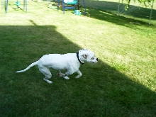 Zeus outside