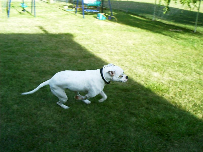 Zeus outside