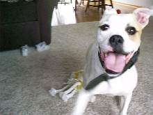 Zeus!