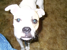 Zeus1