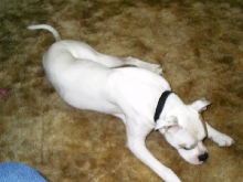 Zeus2