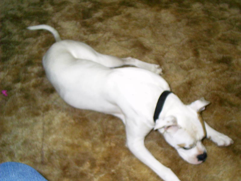 Zeus2