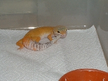 Caught in the Act!