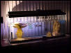 turtle mansion