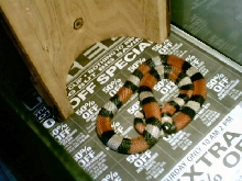 Pueblan Milksnake