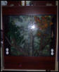 Crested gecko viv
