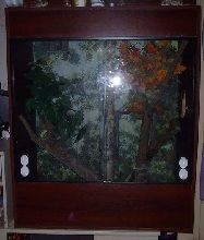 Crested gecko viv