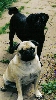 Snuggles and Mojo