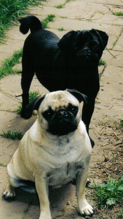 Snuggles and Mojo