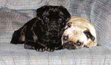 See we can get along!!!