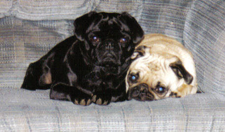See we can get along!!!
