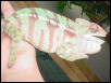 ambilobe