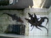 caiman
