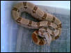 hypo2
