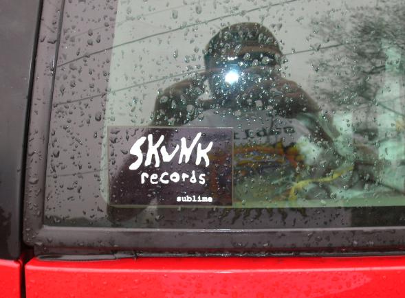 skunk sticker