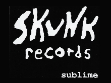 skunk wallpaper