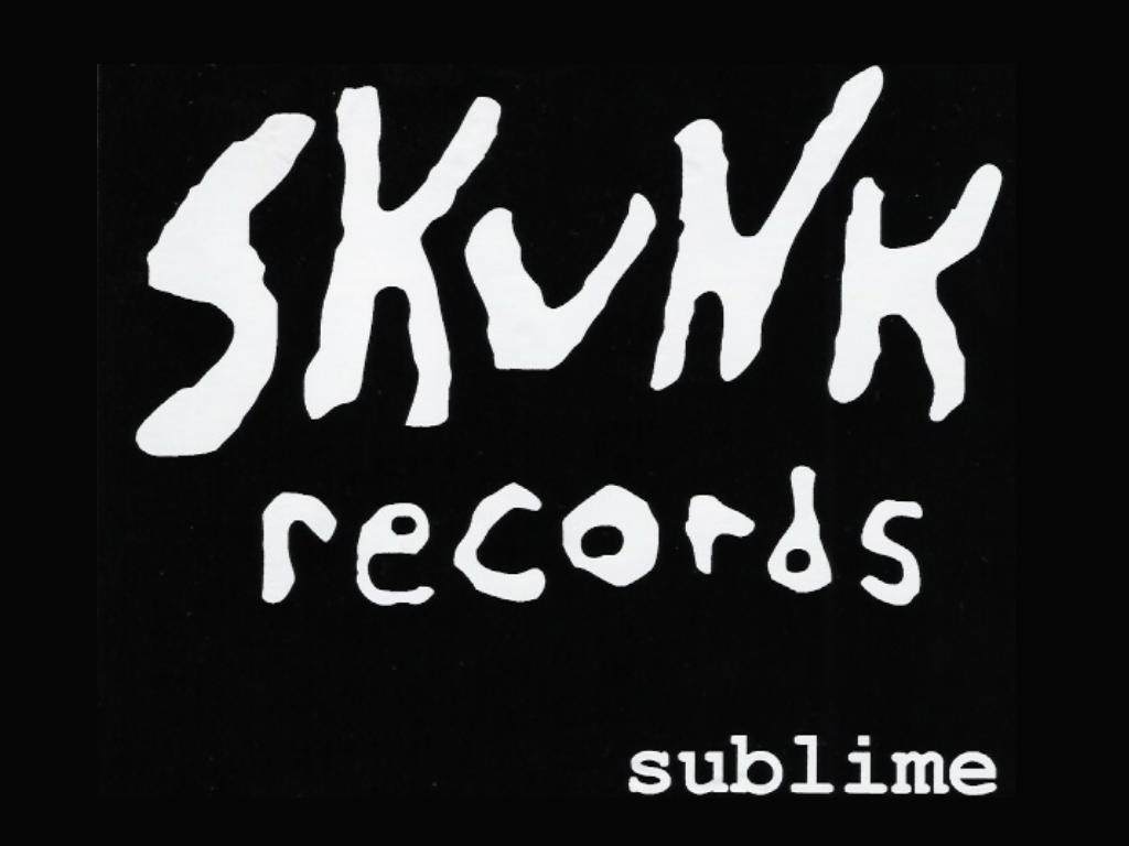 skunk wallpaper