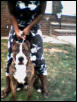 "The Notorious Bam~Bam"A.K.A. Bam~Bam