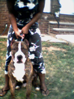 "The Notorious Bam~Bam"A.K.A. Bam~Bam