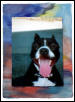 "Buster On The Block" A.K.A.  Buster