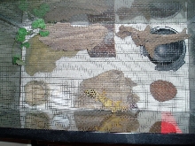 Arial view of tank