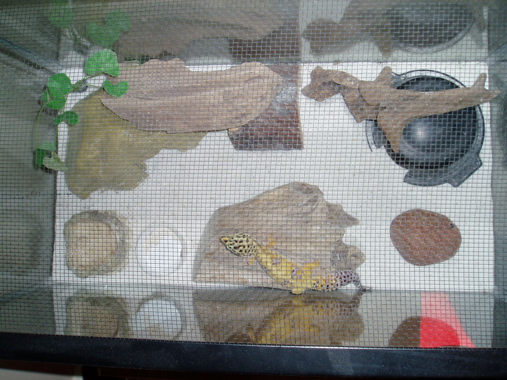 Arial view of tank