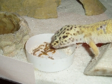 Just having a snack