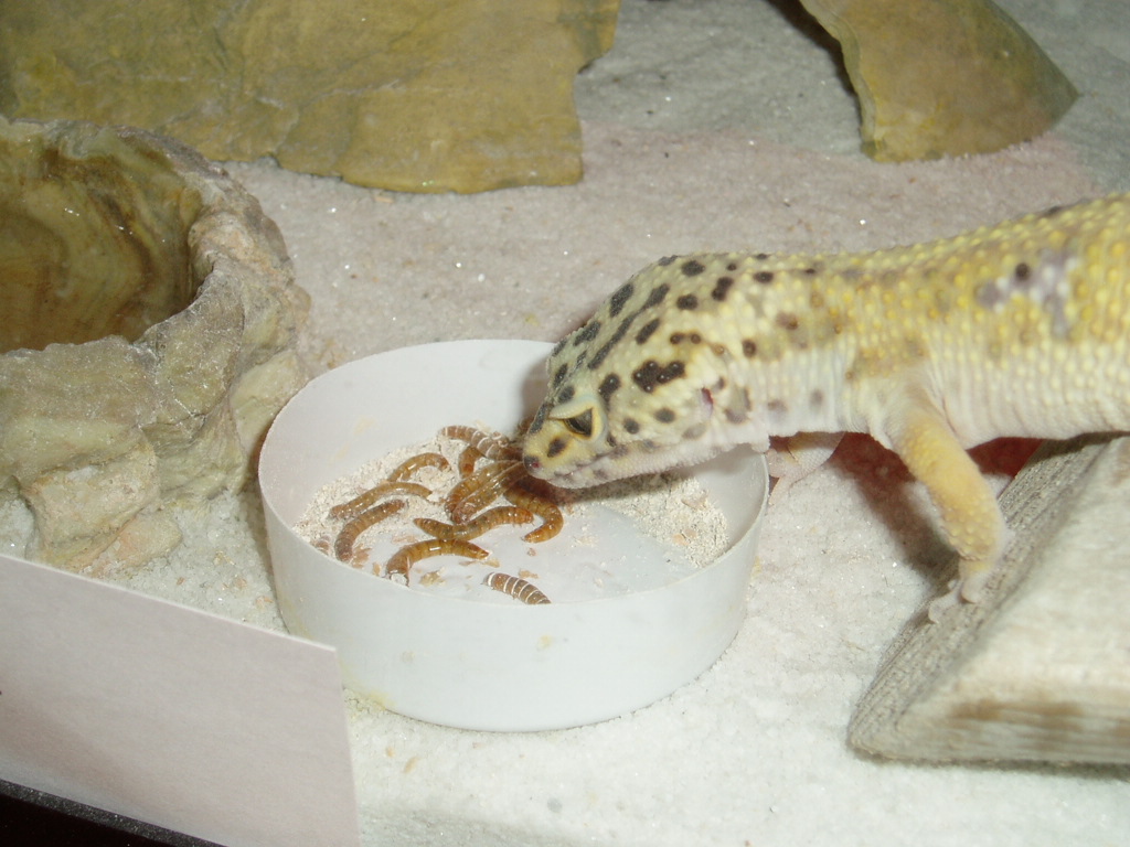 Just having a snack