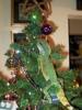 Dragon Christmas!